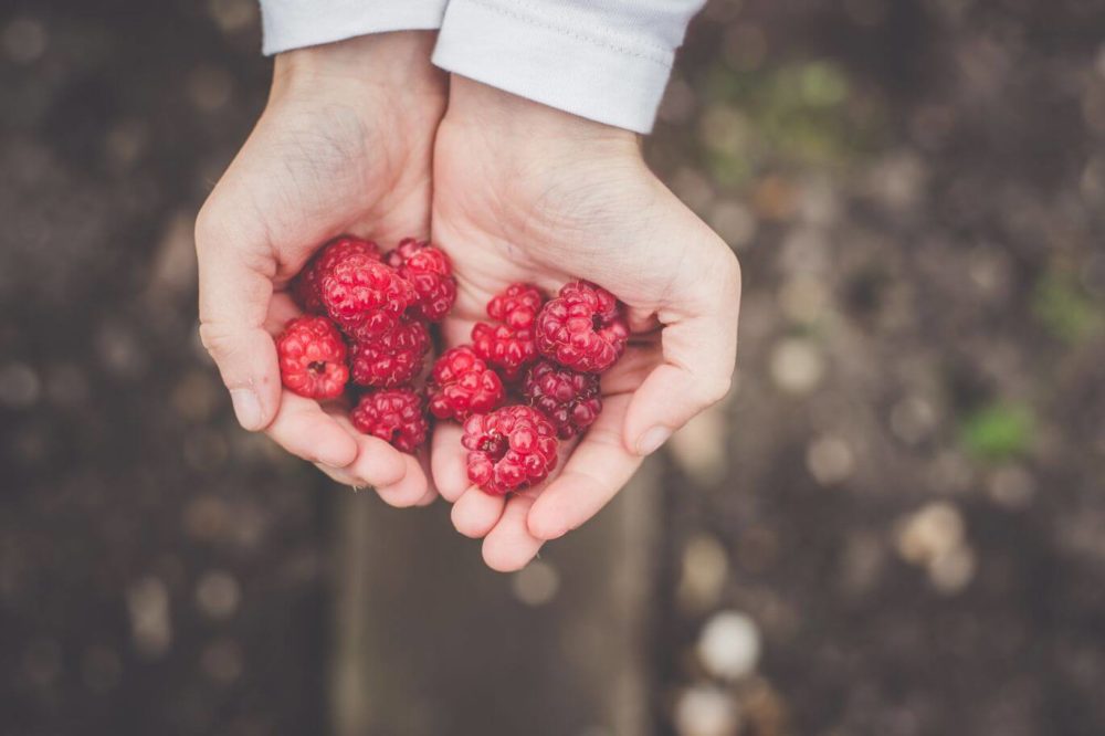 antioxidants
